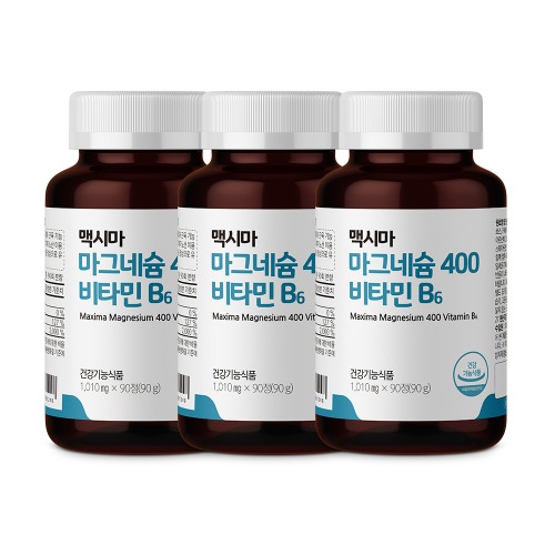 프리벤트라 마그네슘 400 위드 비타민B6 3개월분 x 3개